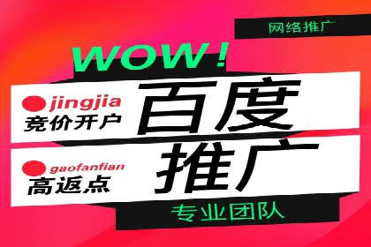百度推广在医疗行业的应用及挑战